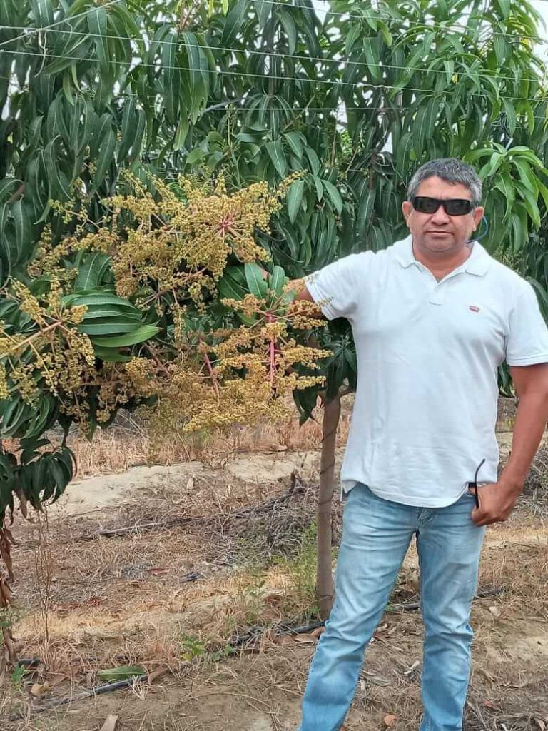 Ing. Agr. Milton Calle Cueva, experto en la materia.