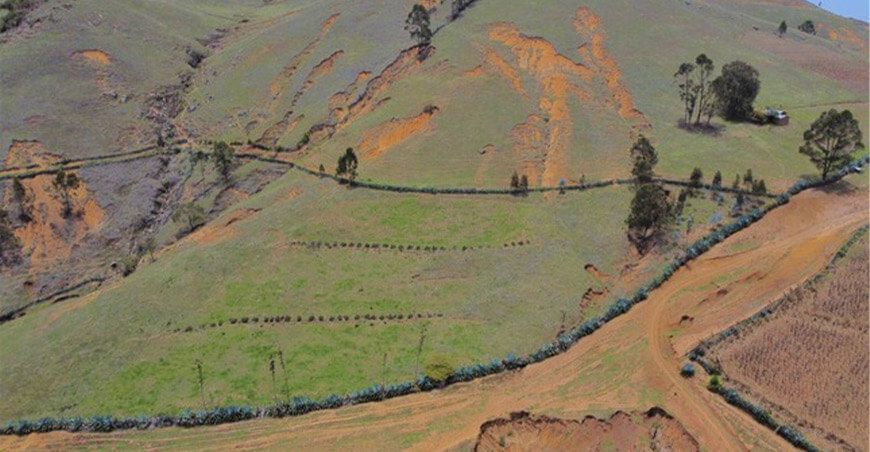Minam ha identificado 1 200 000 hectáreas degradadas a nivel nacional