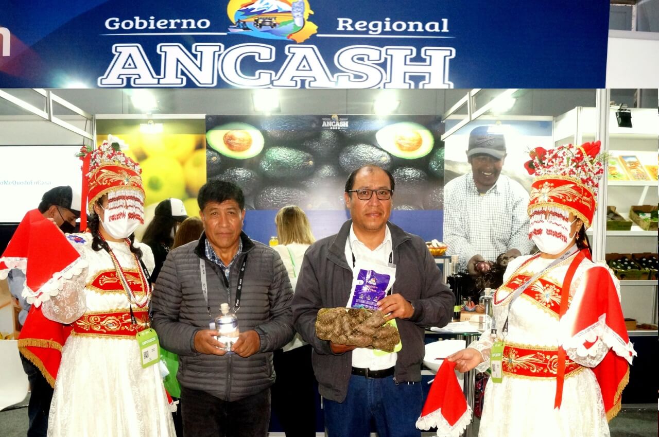 Misha destilado de papa huayro Ancash
