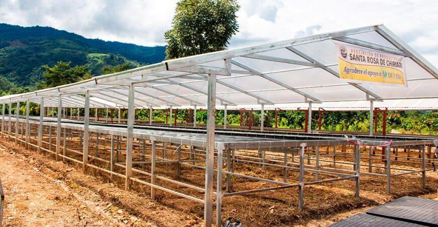 módulo de postcosecha cacao