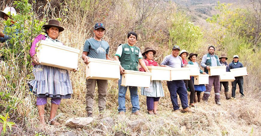Implementan módulos apícolas para impulsar la producción de miel en Ayacucho