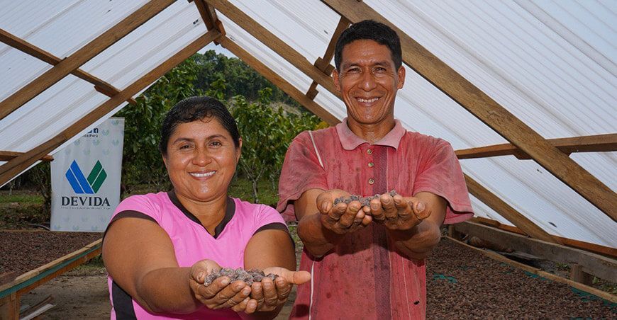 Implementan 16 módulos de secado de cacao en San Martín