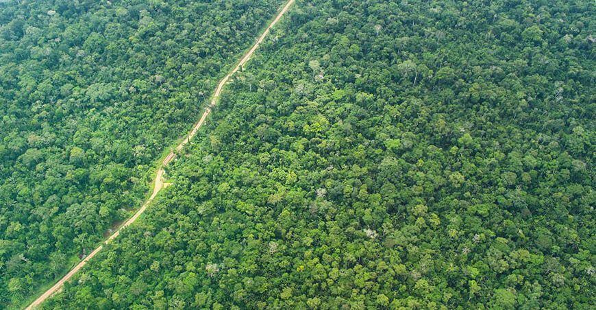 Monitoreo forestal en Perú