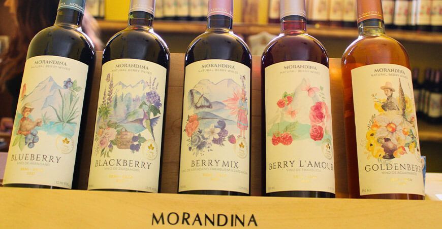 El arte de transformar berries en exquisitos vinos Morandina Caraz Ancash