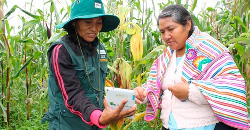 Medalla Midagri 2021 a la mujer agraria