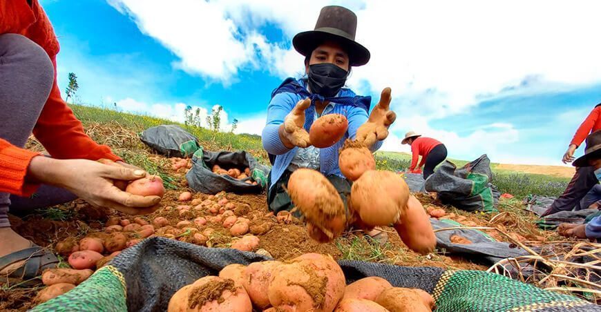 mujeres agropecuarias