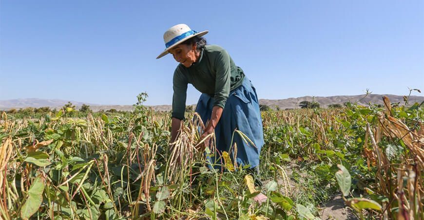 mujeres rurales productoras Perú