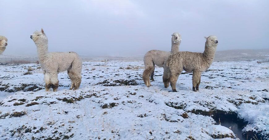 nevada y granizada en la sierra Perú