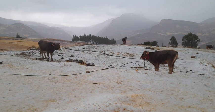 Sierra registrará lluvias, nieve y granizo Perú Senamhi
