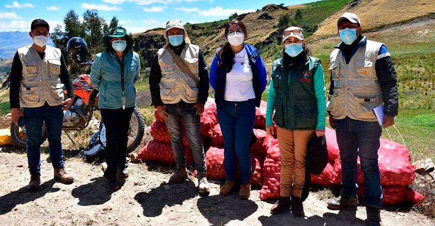 Liberarán nueva variedad de papa especial para fritura y horneado