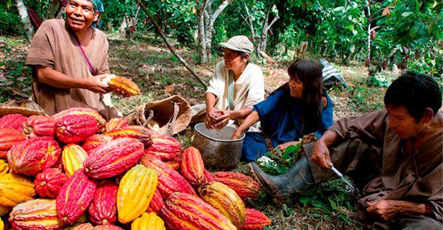 Beneficios de la nueva ley de cooperativas agrarias