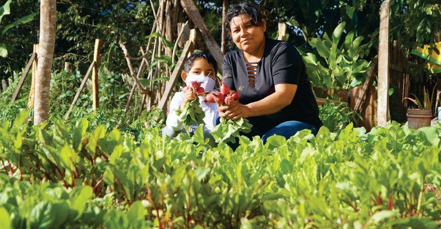 Oxapampa: ponen en marcha programa municipal “Mi Huerta en Casa”