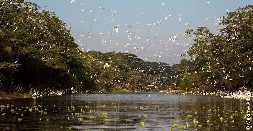 Pacaya Samira Perú