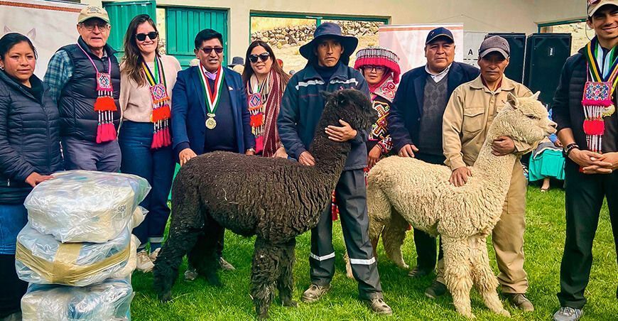 Pacomarca impulsa el desarrollo sostenible de las comunidades alpaqueras de Puno