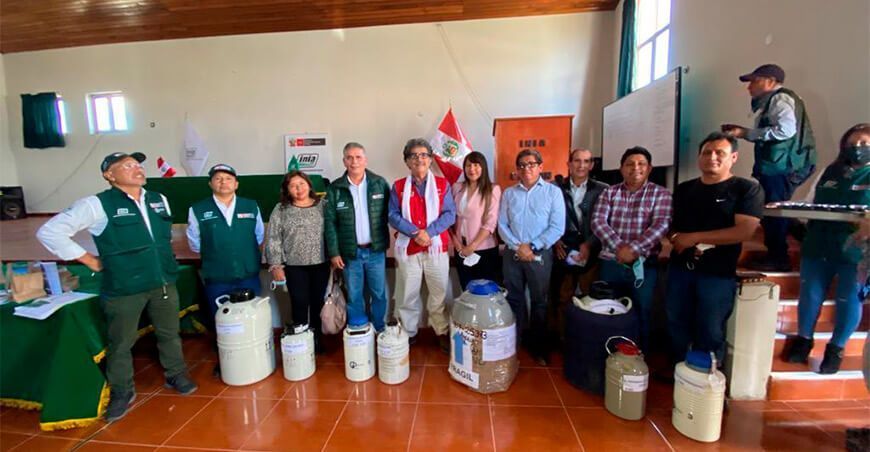 transfieren 3,000 pajillas de semen y 160 embriones de ganado bovino