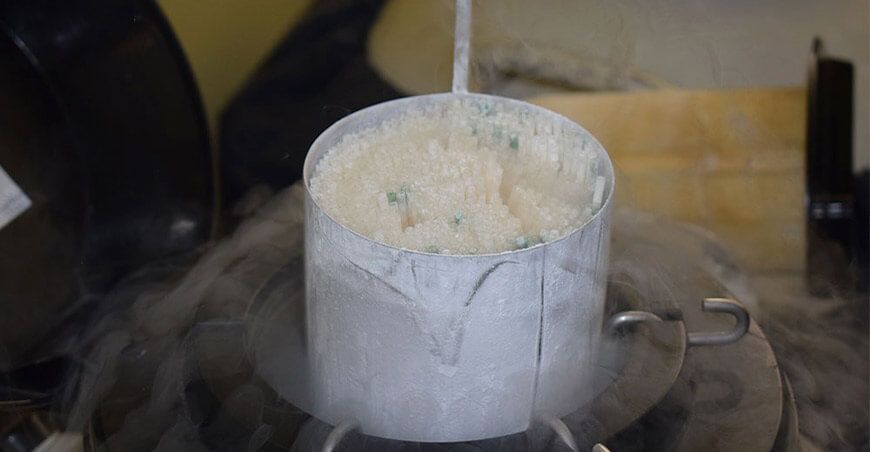 pajillas de semen inseminación artificial ganado bovino