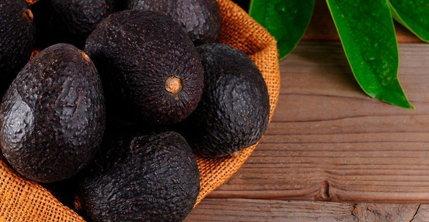 exportación palta Hass Perú