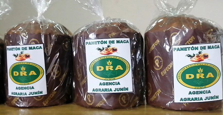 Pequeños productores elaboran panetones de maca