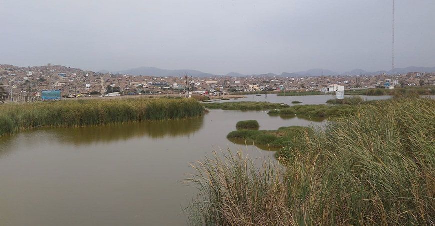 Sernanp inicia instalación de cerco perimétrico en Los Pantanos de Villa
