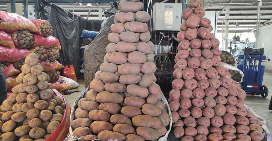 papa EMMSA mercado mayorista de Lima