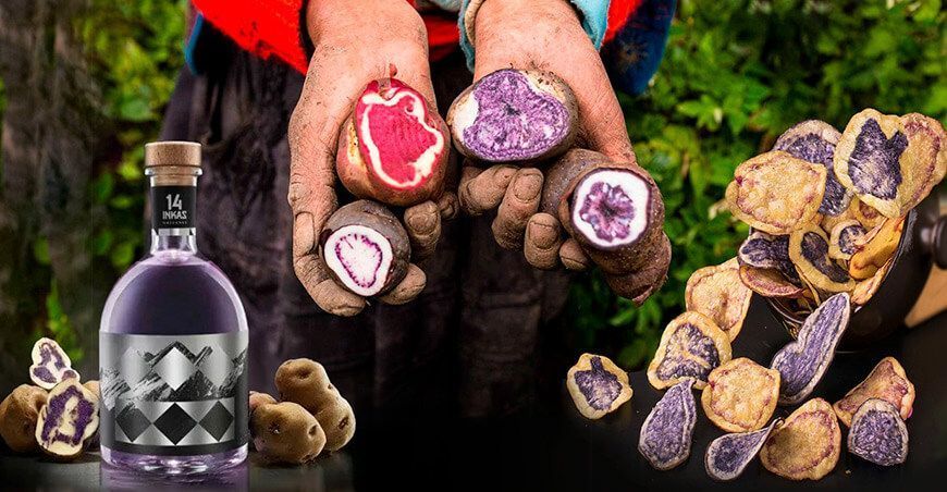 Las papas nativas peruanas conquistan el mundo