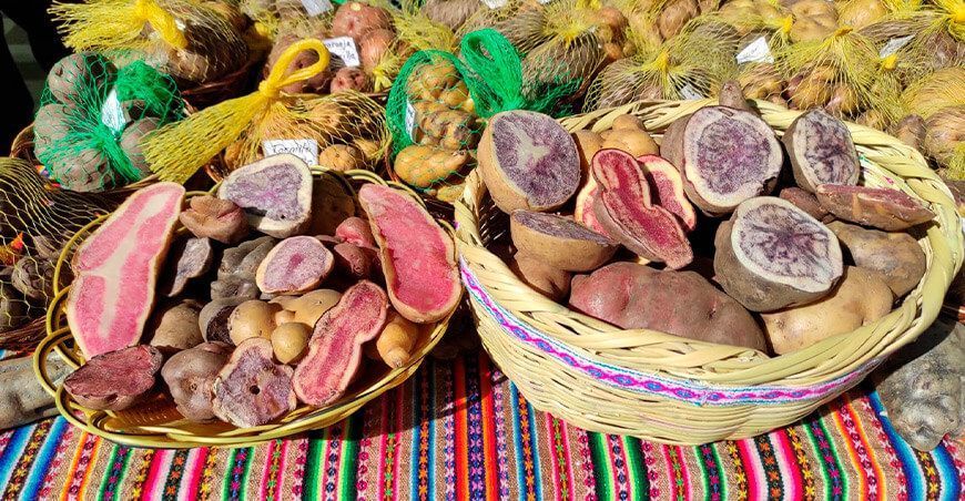 papas nativas Perú