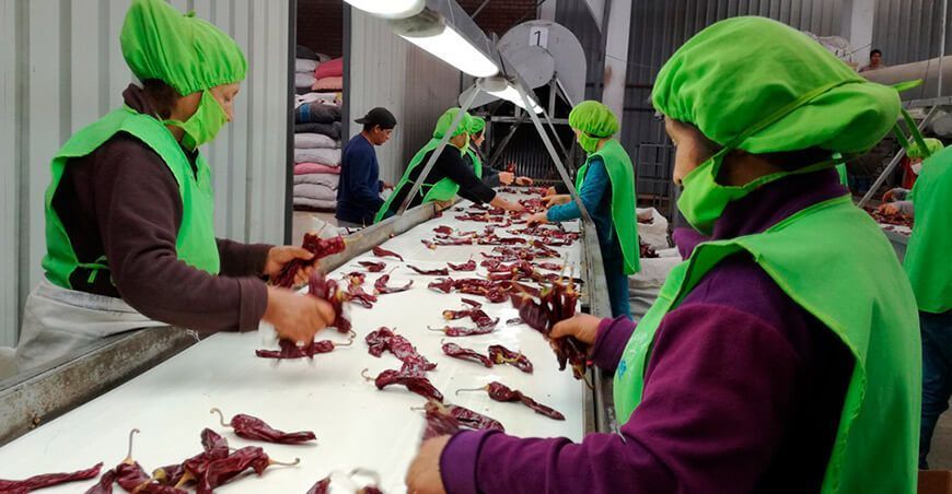 Exportaciones de ají páprika seca
