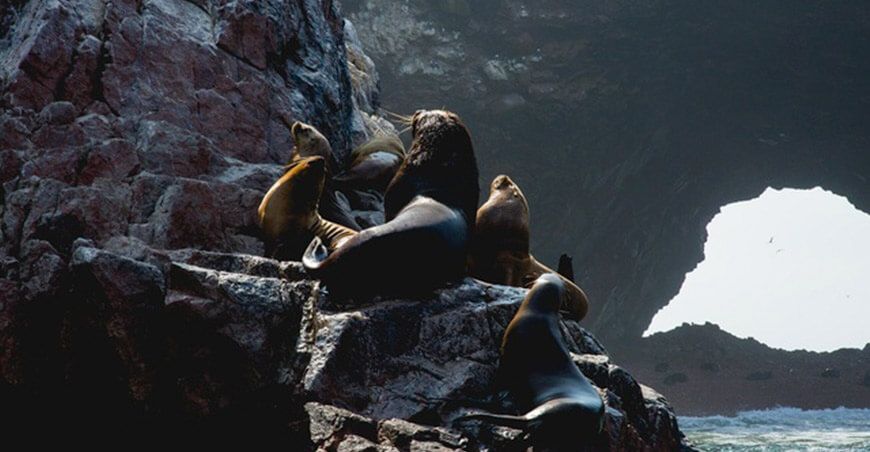 Turismo: Conoce las 25 áreas naturales protegidas que se encuentran reabiertas