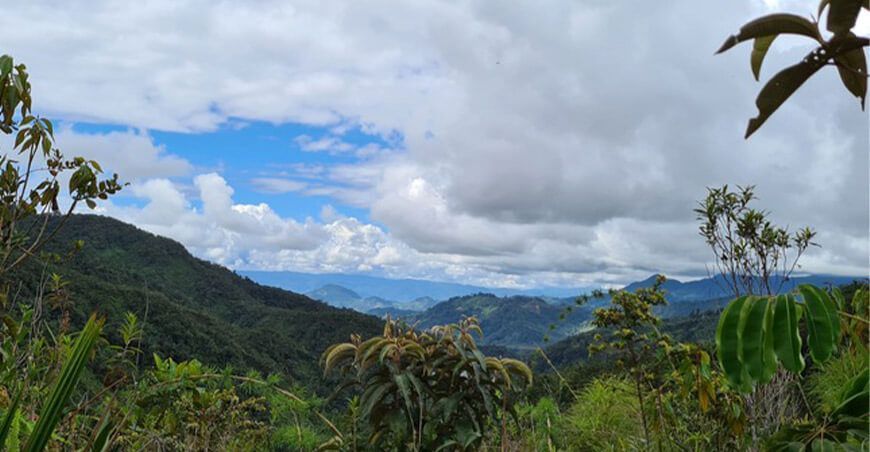 “Paraje Capiro Llaylla”, nueva área de conservación privada en Junín
