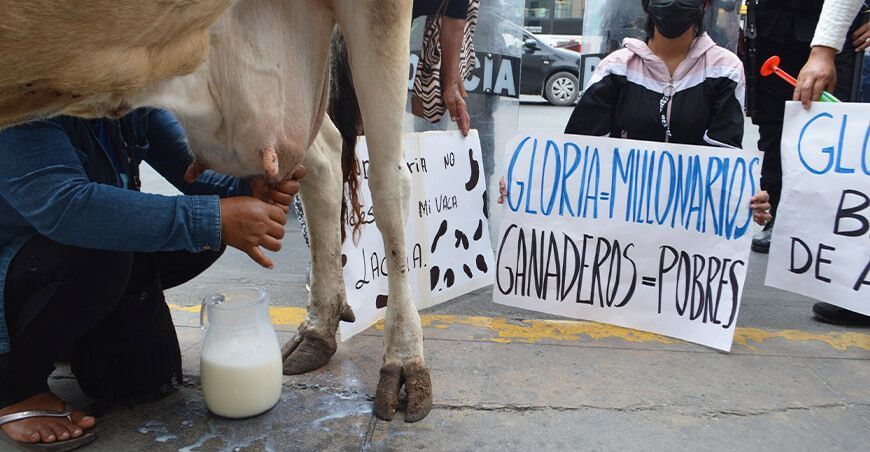 huelga paro de ganaderos lecheros Perú