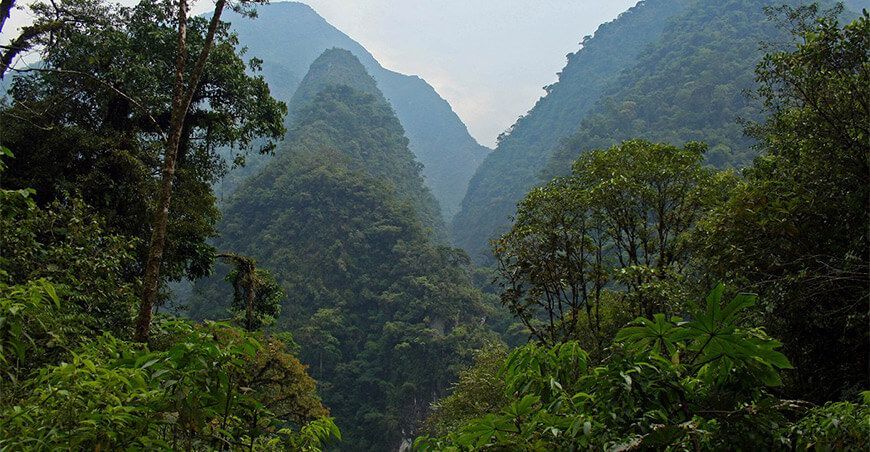 Parque Nacional Yanachaga Chemillén