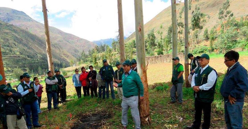 pasantía técnica para conocer el cluster foresto-industrial