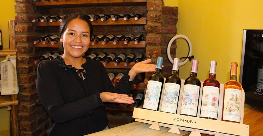 El arte de transformar berries en exquisitos vinos Morandina Caraz Ancash