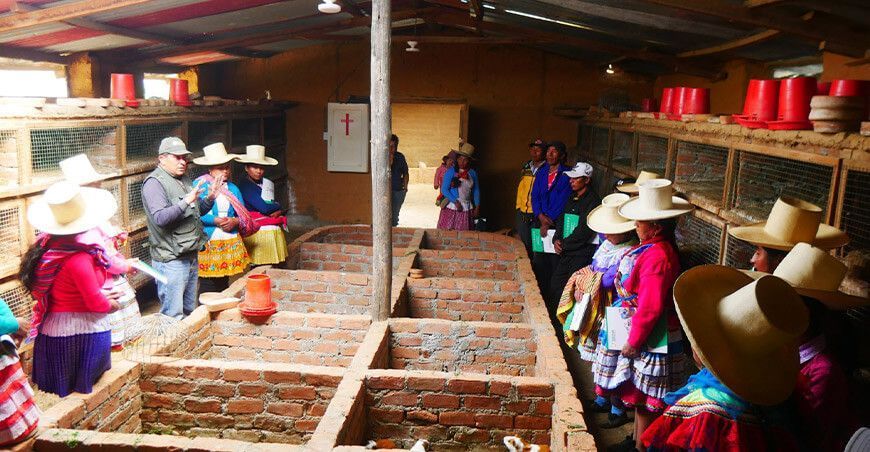 Mujeres de Pamparomás se capacitan en crianza de cuyes