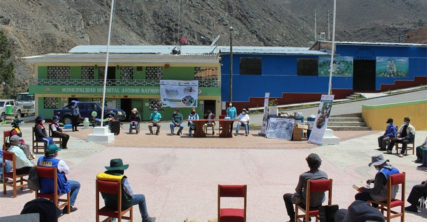 Ancash: inician programa para controlar la mosca de la fruta en Bolognesi