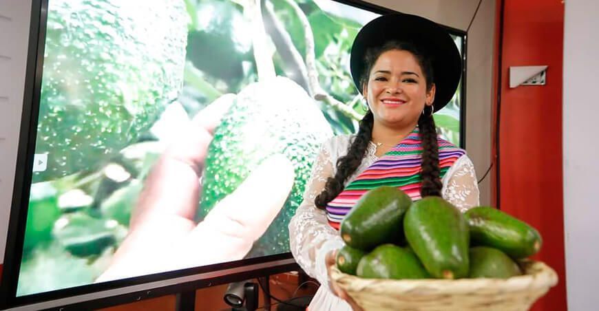 congreso de la palta Ayacucho Perú