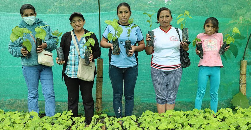 instalación de plantones de granadilla Cajamarca Perú
