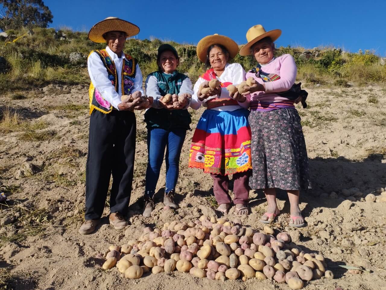escuelas de campo Senasa productores de papa
