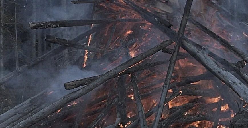 incendios forestales 