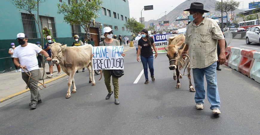 huelga paro de ganaderos lecheros Perú