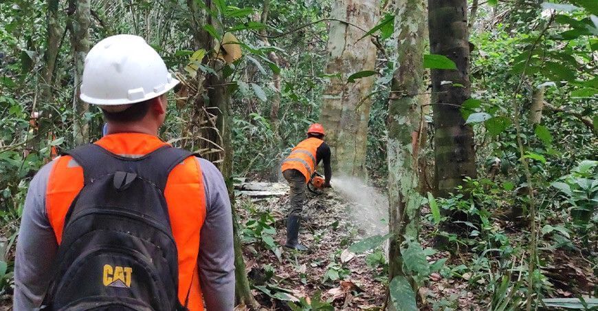 Motosierristas del país podrán certificar sus competencias laborales
