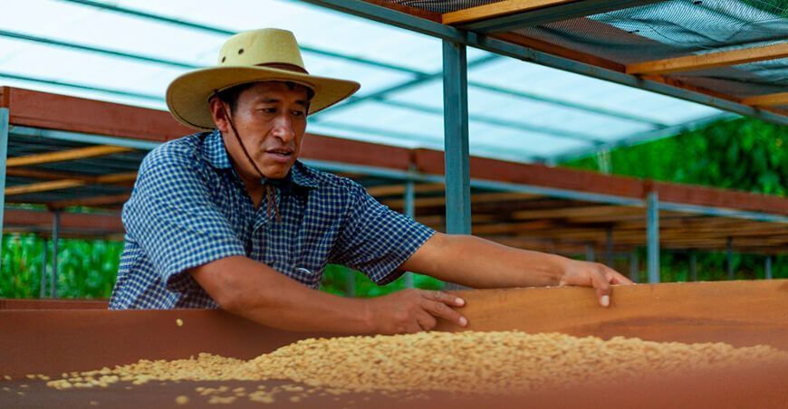 productor de café en grano Perú 