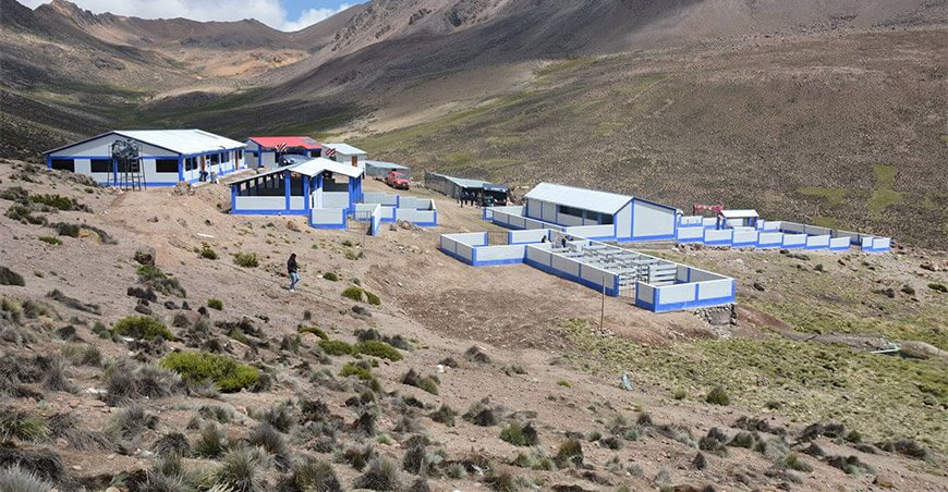 centro de reproductores de alpaca