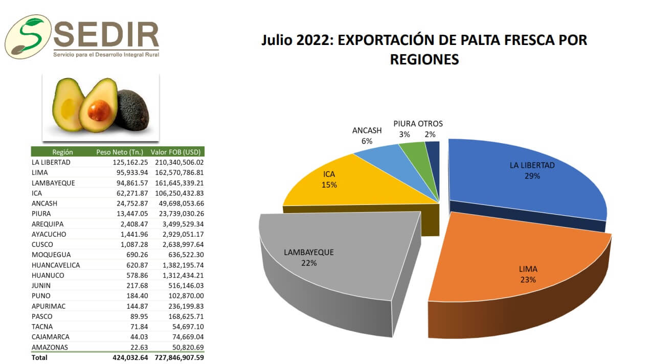exportación de palta