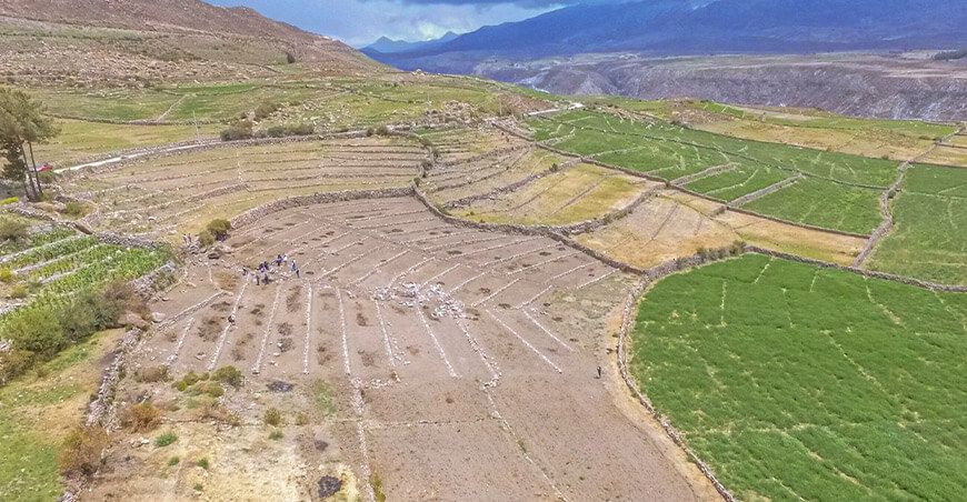 Andenes Tacna Perú