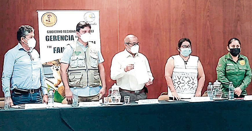 Deforestación de bosques Ucayali