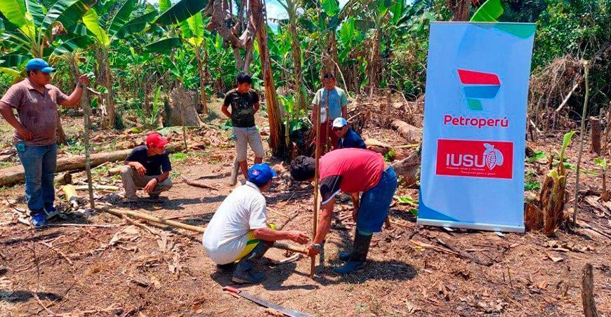 Proyecto de Petroperú impulsa la producción de cacao en Amazonas