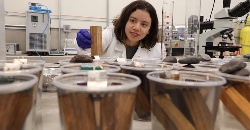 Investigadores buscan fabricar piezas mecánicas con residuos de la industria maderera