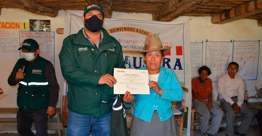 Productores mejoran técnicas de producción de manzana