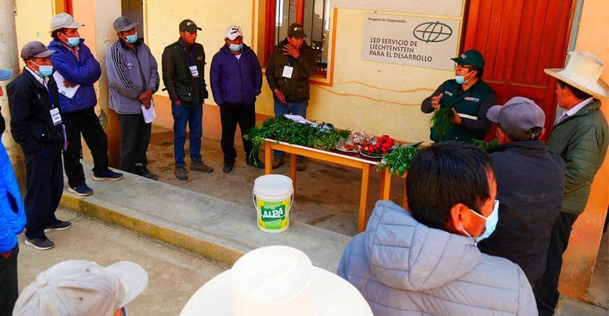 fomentan uso de plaguicidas naturales en Pamparomás